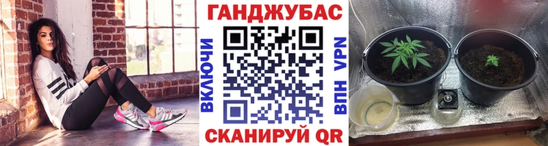 где можно купить   Углич  Бошки Шишки SATIVA & INDICA 
